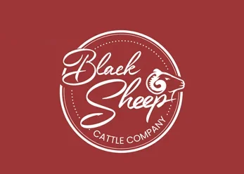 black_sheep black_sheep